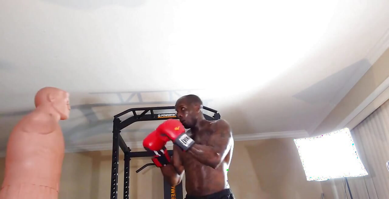 Boxing Workout When Designing a Core Training Program, the Local and Global Muscles Should Both Be Trained to Develop Proper Cor