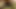 Karısı bbc sevgilisinin her yerinde sert cumming.