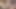 ホットな女性はディルドでファックされたいと思っていて、強いオーガズムを得ます