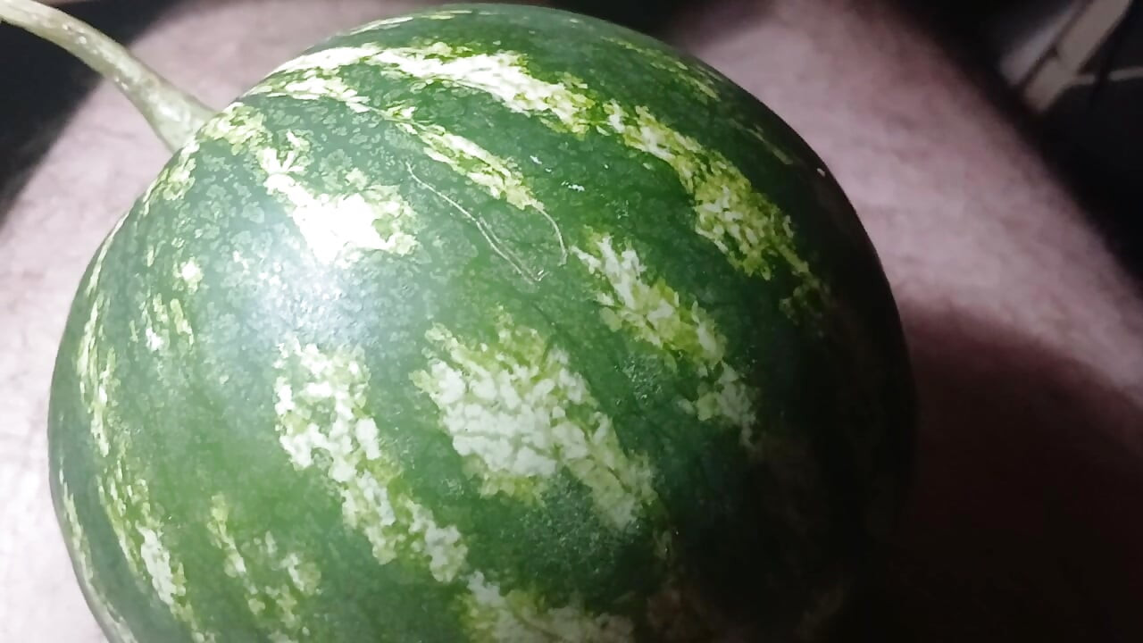 A melancia é tão doce e suculenta que meu pênis gostou!