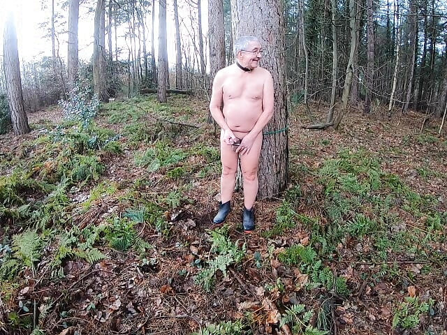 Dildo In The Wood 3