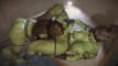 Pratinjau video