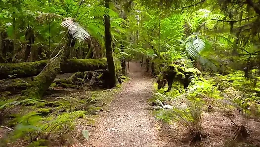 Я убирал дом, я был на боссе и моя спина сильно болит, мой босс дать мне облегчение, полное хинди вирусное видео