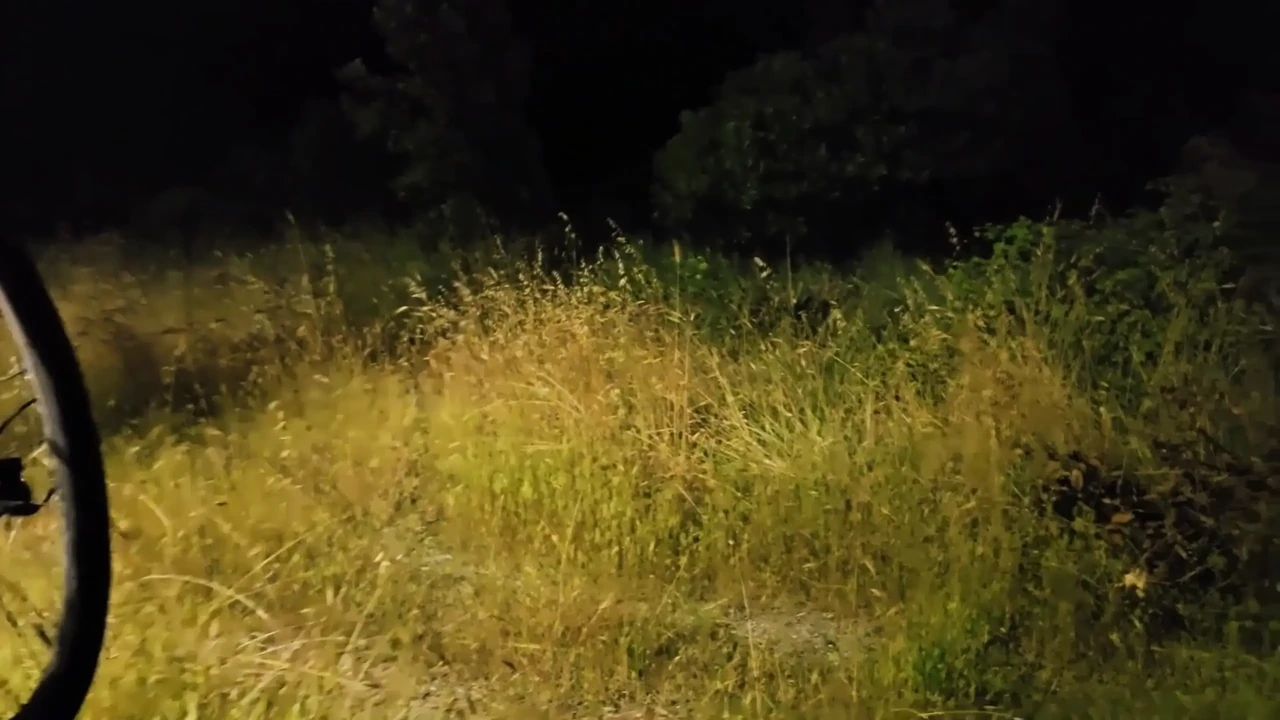 Slut in the near Tomorrowland camper parking lot masturbates with a black dildo and gets caught by a perverted stranger
