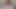 Diaper Boy Masturbating And Cumming On A Dildo... He leaves it all covered with Cum