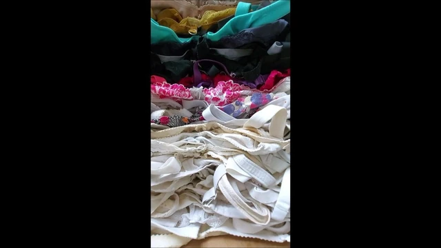 some very wise bras in a box