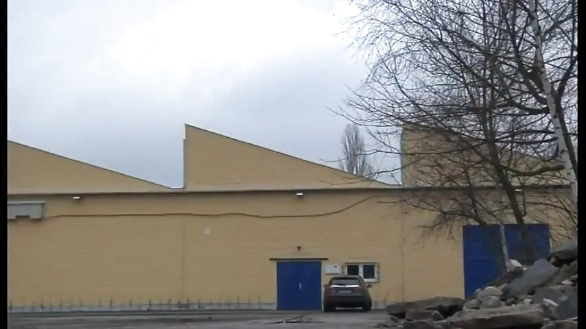 Sex in Luxury Limo with Female Assessor