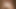 ワイルドライフ、甘いホットなお尻、激しいおいしい喜び、ハードセックス