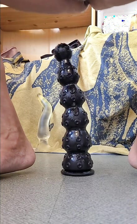 a selection of dildos