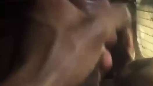 Capibarasarecute yüz haraç 2