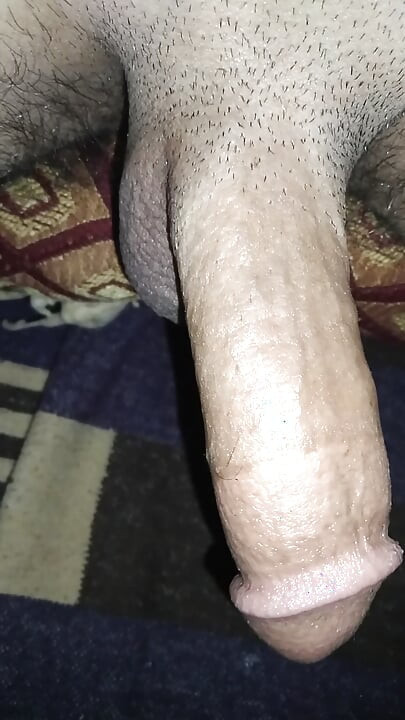Mi polla necesita coños