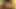 Dark Meat for Dinner - (FULL MOVIE)