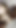Pornellia Gives Me the Deepest Blowjob - the Best Deepthoat I've Everhad in My Life