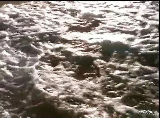 酒店色情模特行为