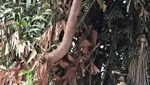 Ben ve Dai Belan, neredeyse çıplak, dairenin balkonunu yıkıyorduk ve komşular bizi izliyordu