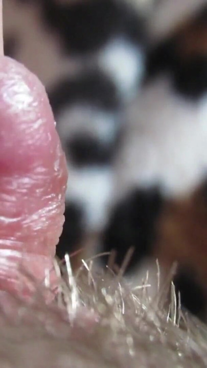 Momen menakjubkan dari "video lengkap klitoris besar closeup"
