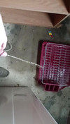 Pregled videozapisa