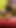 Iconic moment from "Indian Desi Sex with Village Bhabhi Supriya on Saree - Real Homemade Fucking Video"