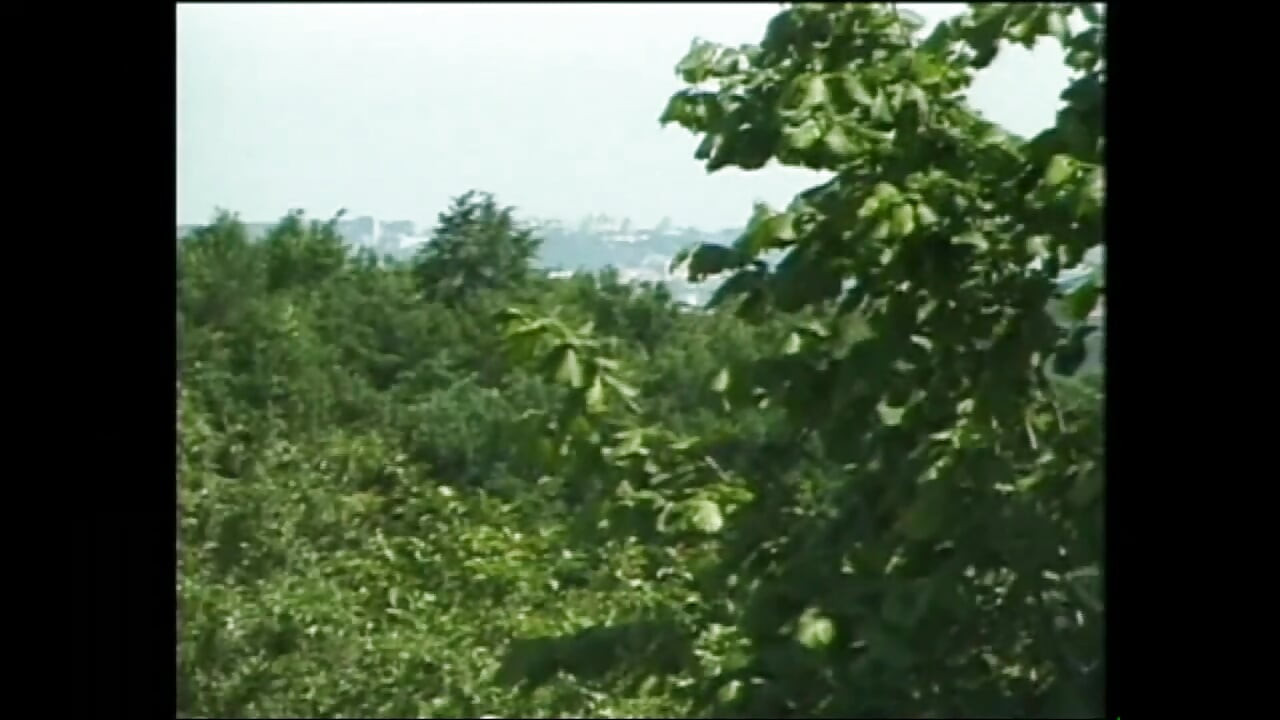 Hartes Liebesspiel Sitzung Vol.3 (Full Movie)