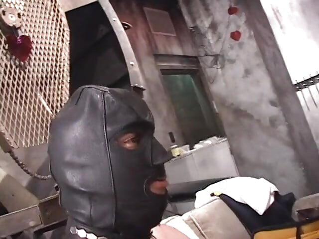 Behind the scenes footage of porn stars in action