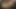 レズビアンたちは自分たちの遊びを私たちにごちそうしてくれます