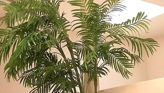Büyük zenci yarağı emiyor siyah amcık sikişi