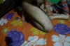 Pregled videozapisa