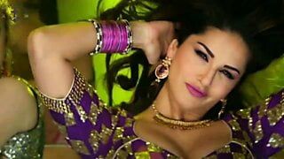 Bollywood + Hollywood -actrice hete saree -vorm, grote kont + groot