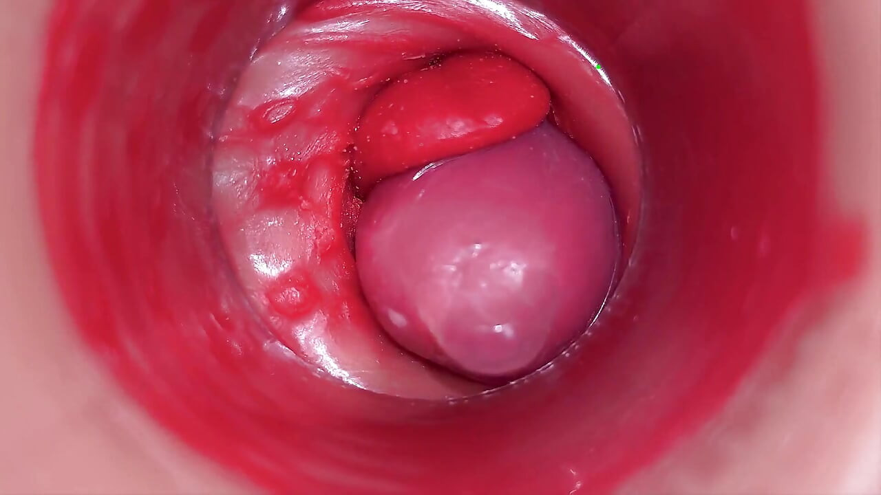 Inuti En Camgirl Livmoderhals POV Kamera I Vagina Med Stor Kuk Leksak