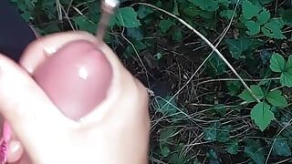 Outdoor handjob and sounding.