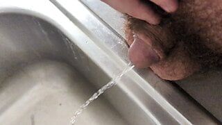 Bear Cub Pissing in the Sink