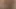 Horny guys with hard cocks love to fuck in the woods