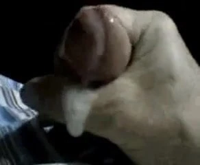 Jacking off to xhamster