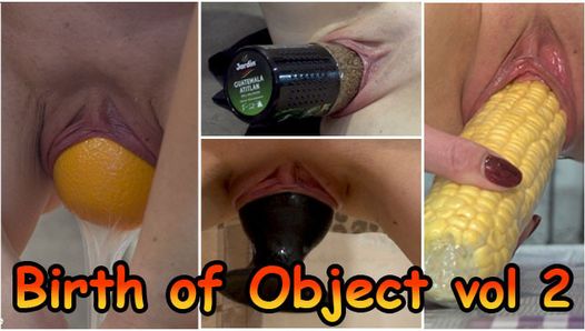 Compilation of birthing object vol 2. Forward and reverse.