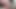 Hot Tatted Petite Woman Sucking Cock POV.