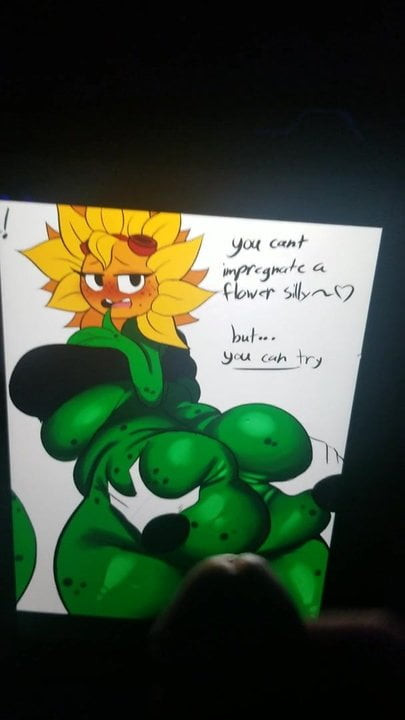 Solar Flare cum tribute 2