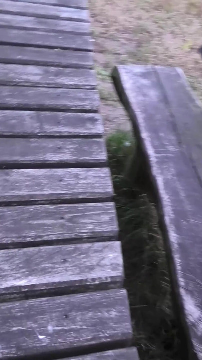 Riskanter Dreh Im Wald...alles in Den Arsch!