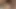 Orgy with big cocks fucking sluts, bisexuals and shemales