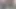 Cash Dorado
