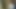 IP Camera MILF Masturbation