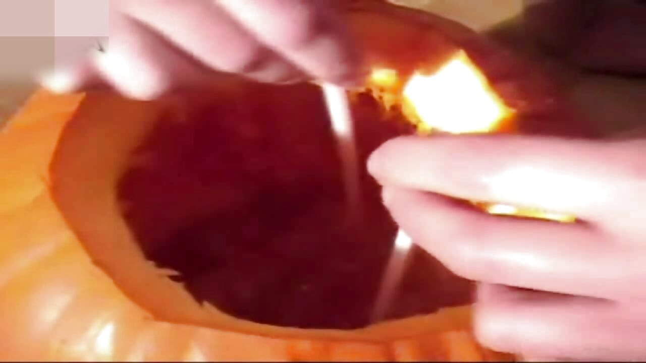 Halloween peed in pumpkin