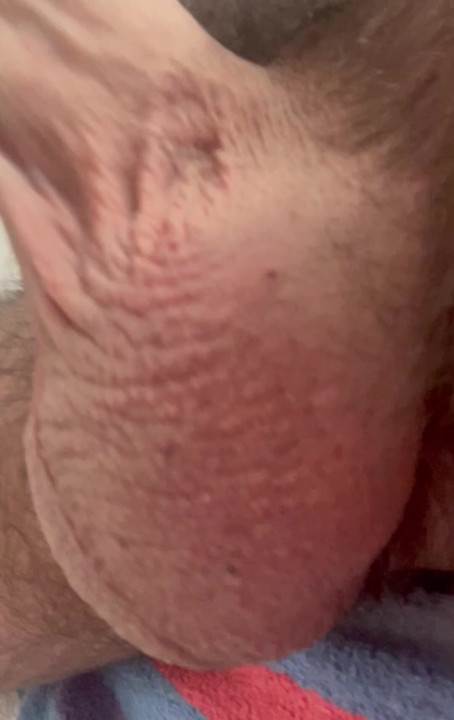 Close up stroking Stiff Prick