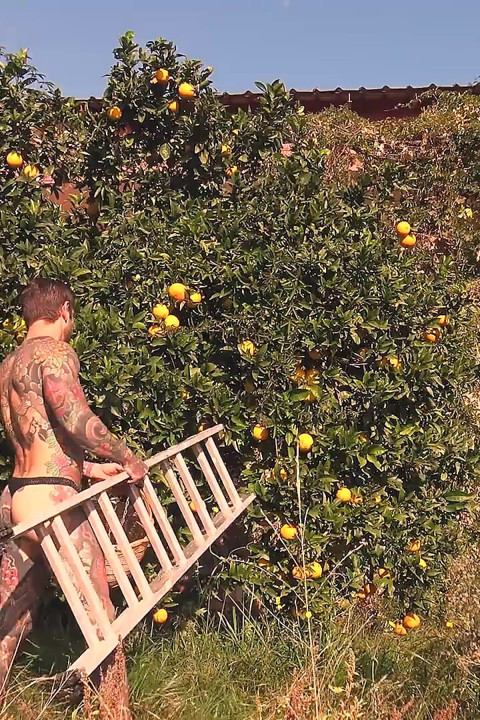 Suco De Laranja
