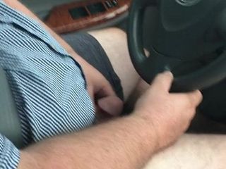 Papi en el coche