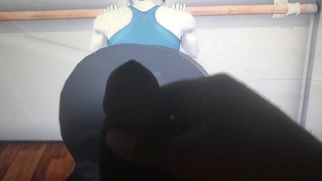 Wii Fit Trainer tribute