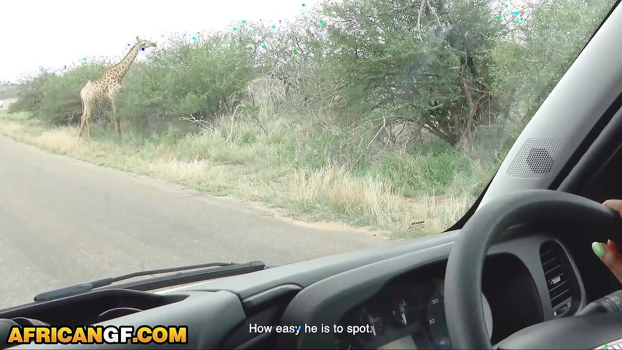 My BLACK GIRLFRIEND acted innocent during the safari... ended up begging for my CUM right after
