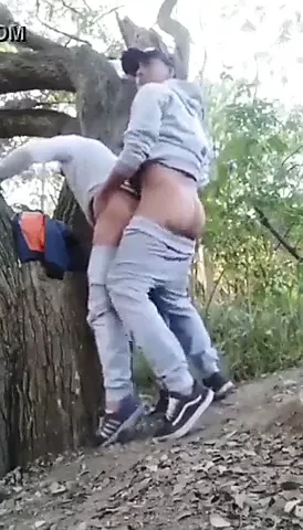Cruising and fucking in the woods