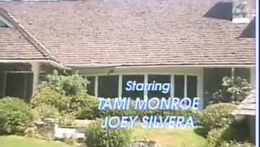 Sins of Tami Monroe (1991)