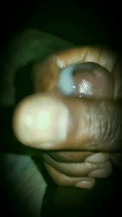Quick Nutt