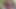 Fucking with My Stepsister While My Stepmother Is Lying Down - Part 2 - Porn in Spanish